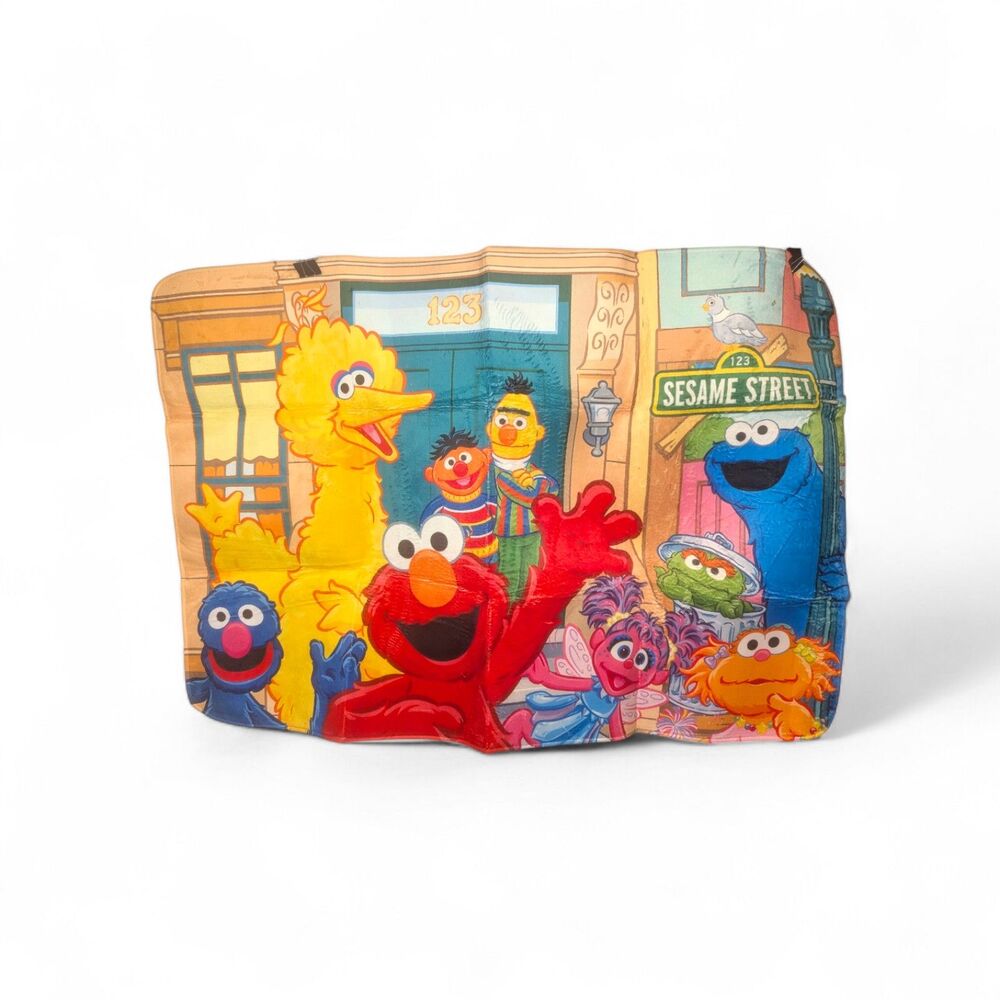 Sesame Street Rug Soft Comfy - Picture 1 of 2